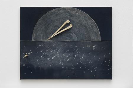  Waar de dieren heengaan om te sterven (Jan van Gent)