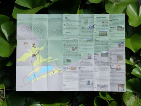  Sociale Field Study