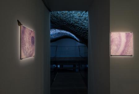  Avalanches from Afar