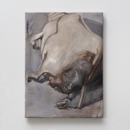  A rectangle separating want from must