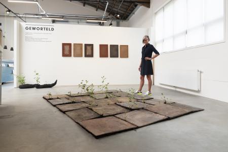  Root Field 1, (Japanse Duizendknoop),