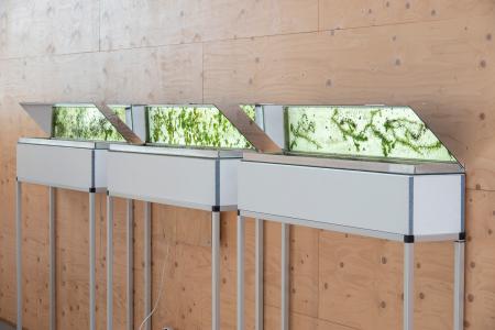  Aqua Morgana Zoetermeer