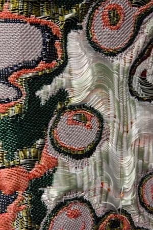  Detail Swimming Cells