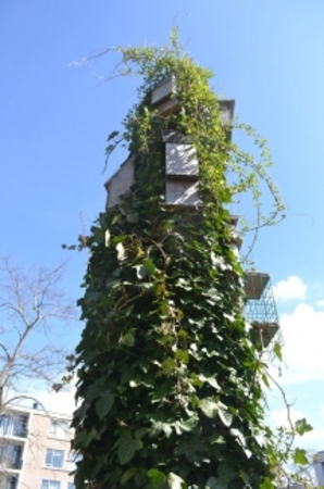  Vogelhotel Elise