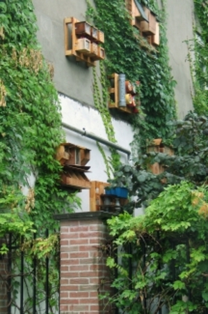  Vogelhotel Schoonderloo