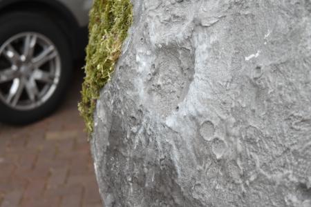  The Lunar Moss Piglets in the Sea of Serenity