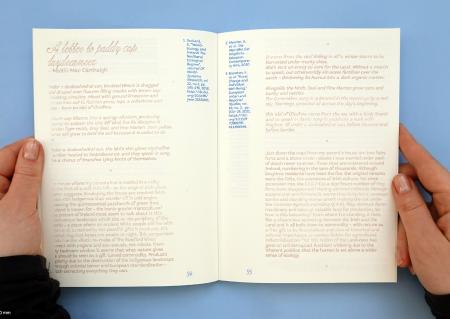  Letters to a grieving land