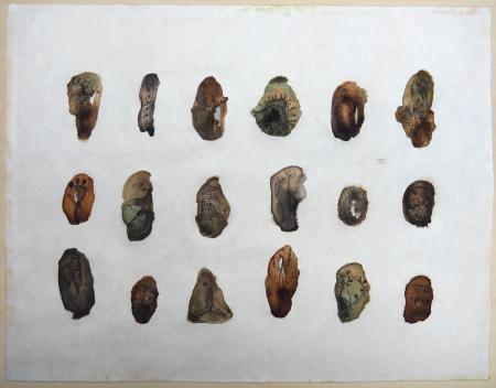  ABOUT FUNGI - Ondergronds I    