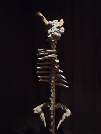  "Re stacking" _ from the serie Fossil fuels