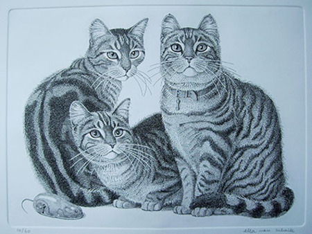  katten met muis