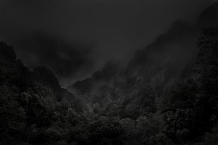  Absence_France_Corse du Sud_2023