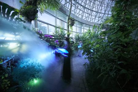  Aerosculpture ver.2「匂う森」