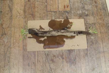  Decaying as a Form of Life