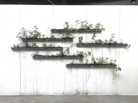  installatie met brandnetels