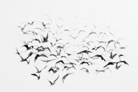  Vogels-2