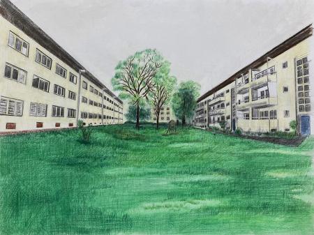  "Habitat Lost" series