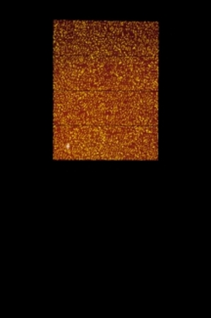  From the series of 'The Eyecodex of the