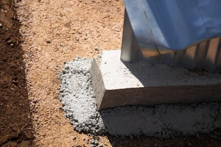  The structure of things to come: The favor of survival (2025)