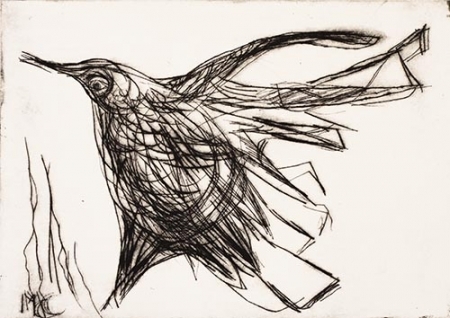  Zwervende vogel 2