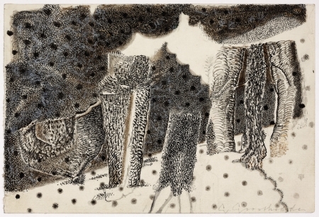 boslandschap  boslandschap