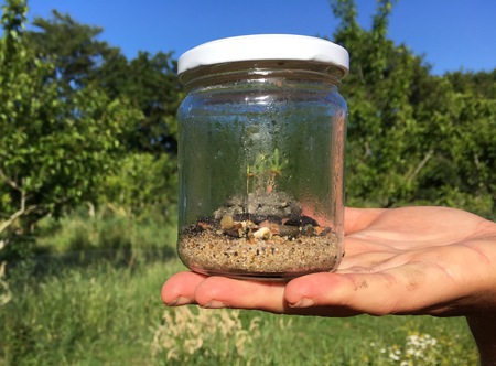  Landscaping - Tuinieren zonder Grenzen