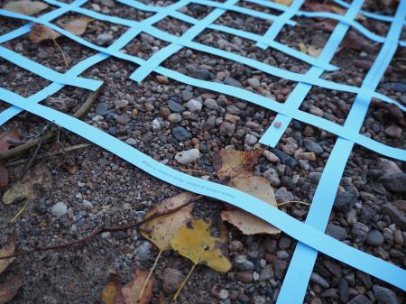  Dreams of the River, day 1