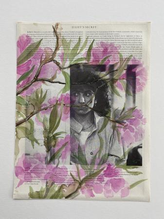  Oleander
