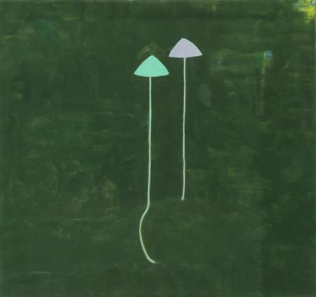  Magic muschrooms ll