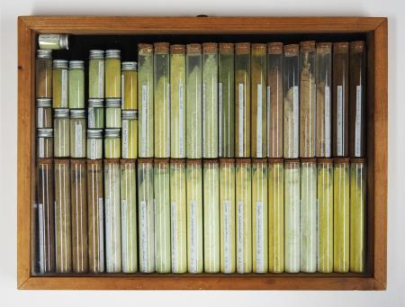  THE COLOURS OF THE DUNES