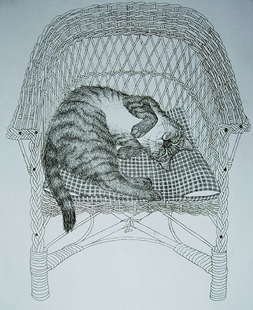  rotan stoel
