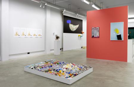  MUDDY PINK DINOSAUR, de tentoonstelling 