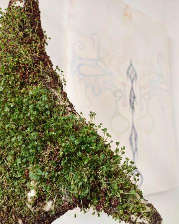  Alchemical Entanglements