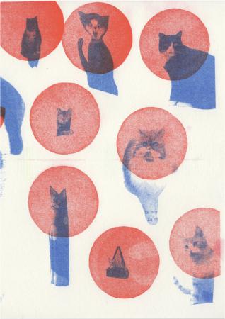  Cats that have appeared in magazines