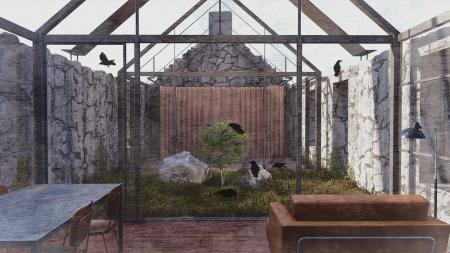  House Full of Feathers