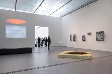  'Echoes on porous ground' as part of exhibition 'Vertical Horizons'