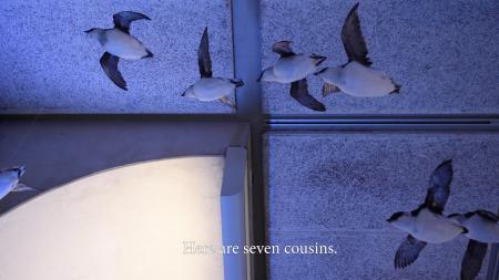  In the stillness of remembering what you had, and what you lost