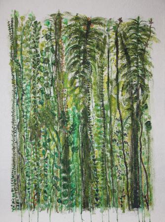  jungle