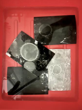 Sketch detail in darkroom   Sketch detail in darkroom