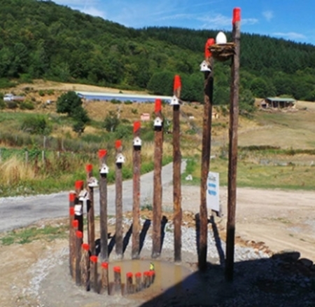  Nest tussen hemel en aarde