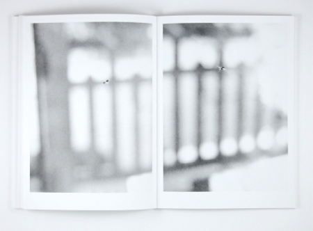  Jochen Lempert, Recent Field Works