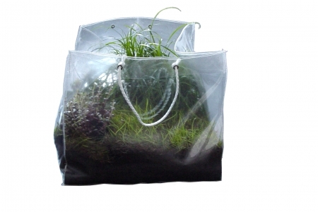 Tragbare Gärten  Tragbare Gärten