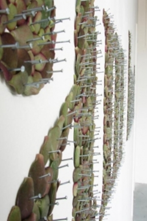 I am hurt  I am hurt