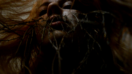  Nobody is going to give up