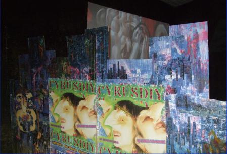  The Unfortunate Promise of CYRUS DIY 