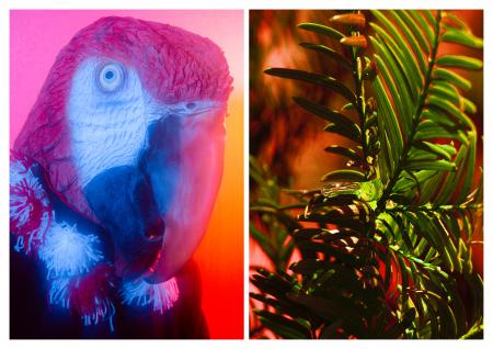  If home is where the heart is, does then the heart reflect home? 