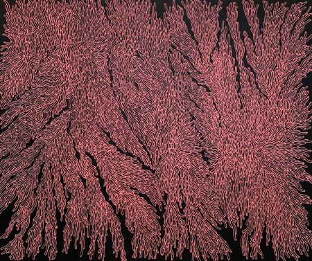  Unfamiliar Landscape Diverse Pink