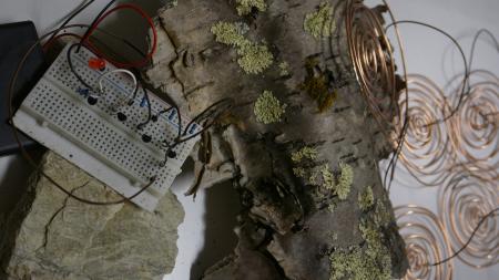  Electric Ecologies 