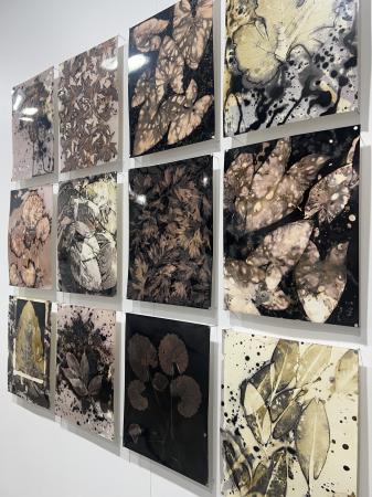  Grantangi plant medicine