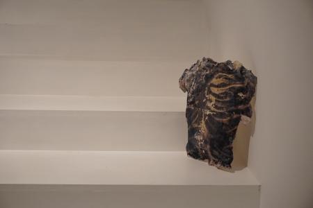  Torsos