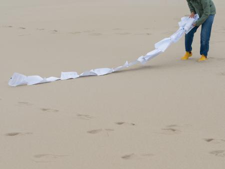  Doggerbank Writes Back